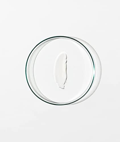 Grown Alchemist Skin Real Day Cream - Anti Aging Face Moisturizer For Women & Men - Face Moisturizer With Reishi Extract Moringa Peptides And Antioxidants (65Ml)