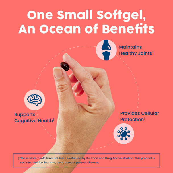 NativePath Antarctic Krill Oil - Wild-Caught Omega 3 Krill Oil 500mg Softgels with EPA DHA and Astaxanthin - Supplement for Joint Heart Brain and Immunity - 60 ct - No Fishy Aftertaste