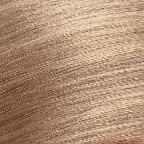 Revlon Colorsilk Haircolor Dark Blonde 10 Ounces (Pack Of 3)