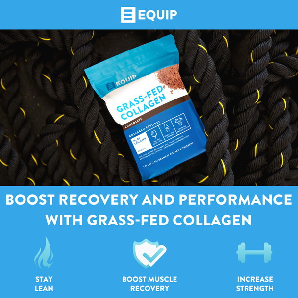 Equip Foods Grass Fed Collagen Powder | Hydrolyzed Bovine Collagen Peptides with Amino Acids | Prime Beef Collagen for Healthy Joints Skin & Nails | Non-GMO Paleo Friendly | 30 Servings Chocolate