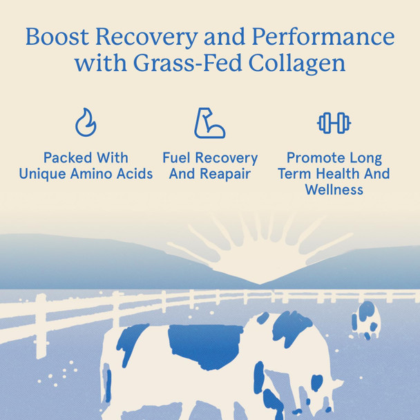 Equip Foods Grass Fed Collagen Powder | Hydrolyzed Bovine Collagen Peptides with Amino Acids | Prime Beef Collagen for Healthy Joints Skin & Nails | Non-GMO, Paleo Friendly | 30 Servings Vanilla
