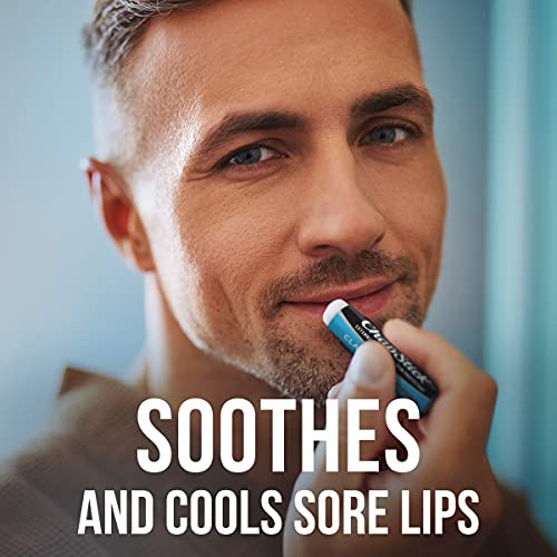 Chapstick Bulk Lip Balm Classic Medicated Tubes Lip Care Tubes 0.15 Oz 144 Ct Case