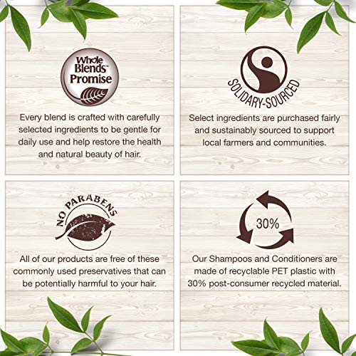 Garnier Whole Blends Shampoo With Color Care Fl. Oz. Argan Oil & Cranberry Extracts Argan Oil/Cranberry 12.5 Fl Oz