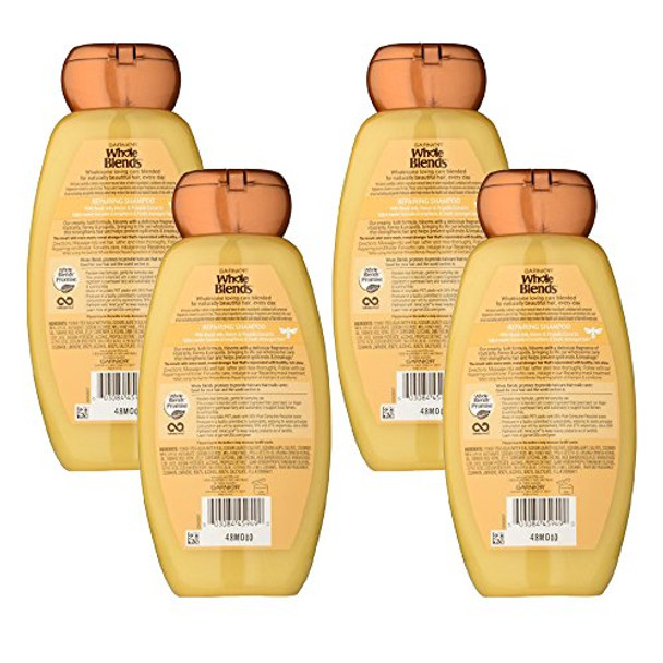 Garnier Whole Blends Honey Treasures Repairing Shampoo For Dry Damaged Hair 3 Fl Oz (Travel Size) 1 Count (Packaging May Vary)