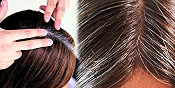 Grisi Organogal Shampoo Darkening Shampoo With Cactus Extract Darkening Hair Product For Gray Hair 13.5 Fl Ounces