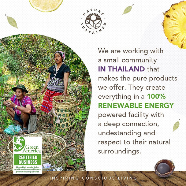 Nature Sustained Organic Body Wash & Face Wash – Raw & Wildcrafted with Probiotics, Soapberry Formula for Eczema & Psoriasis - Wild Plants Selected for Sensitive & Dry Skin, 9oz, Original