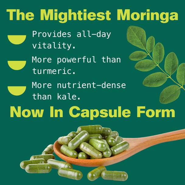 Kuli Kuli Organic Moringa Capsules [60 Count] - Premium Moringa Leaf Powder Capsules - Nutrient-Dense Superfood for Energy Vitality and Wellness