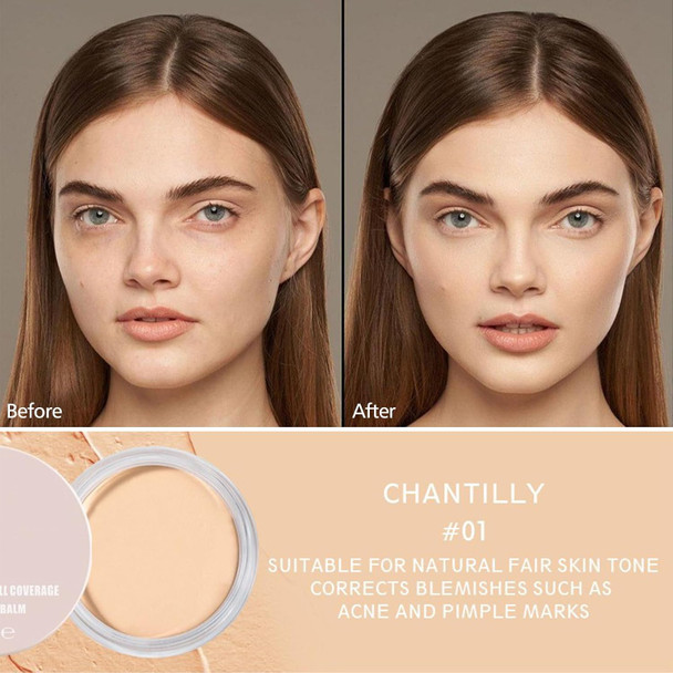 Erinde Full Coverage Tattoo Cover Up Makeup Waterproof Under Eye Concealer For Dark Circles Color Corrector Long-Lasting Cream Concealer For Tattoos Scars & Face Blemishes Redness 01 Chantilly