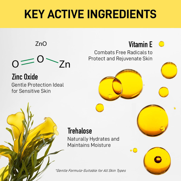 Tinted Moisturizer Sunscreen Spf 50: Enaskin Naturals 4-In-1 Mineral Face Cream With Zinc Oxide - Hydrating & Broad Spectrum Uv Protection Makeup For Sensitive Skin Lightweight 1.7 Oz