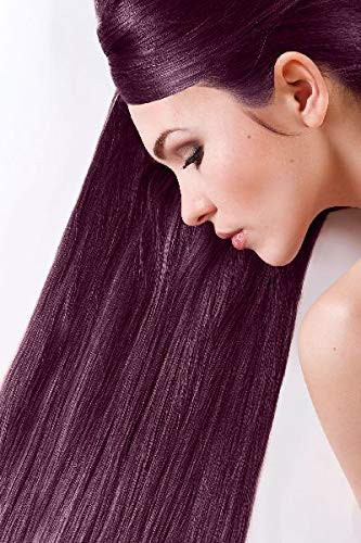 Sanotint Classic- Bilberry- NO 21