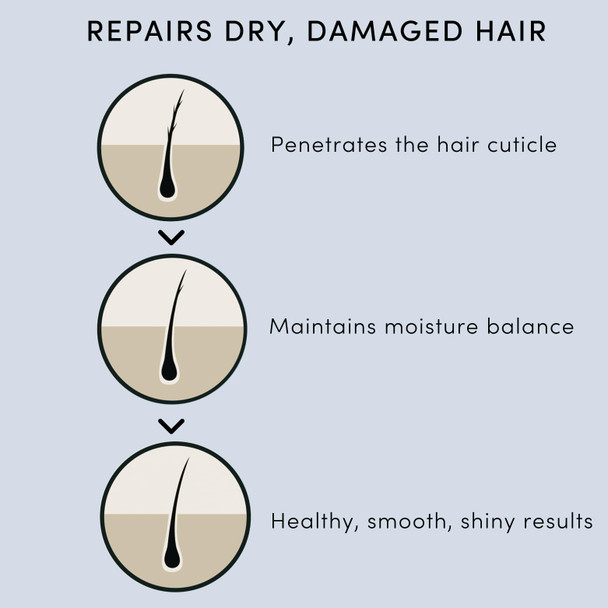 Forest & Shore Hair Oil 100% Natural Certified Organic Hallelujah Hair Oil ® Treatment and Protection - Moisturising And Repairing For Dry Damaged Hair Promotes Healthy Hair Growth With Silky Shiny Smooth Results Forest & Shore Hair Oil 100% Natural Certified Organic Hallelujah Hair Oil ® Treatment and Protection - Moisturising And Repairing For Dry Damaged Hair Promotes Healthy Hair Growth With Silky Shiny Smooth Results