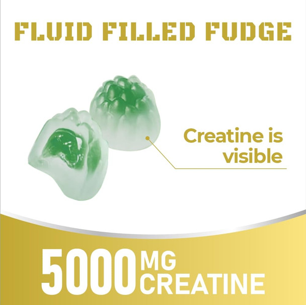 Sporty4 CREATINE Gummies Ultra + BCAA 8000mg | 120 Gummies of Creatine Monohydrate | BCAA | L Carnitine | Vitamin B6 and B12. Pre Workout Muscle Recovery Supplement for Men and Women Blueberry Flavour.