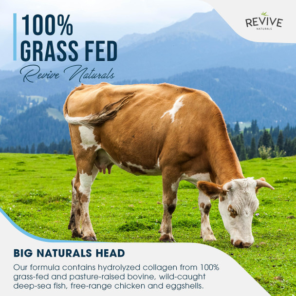 Revive Naturals Multi Collagen Protein Powder (200g) - Types I II III V & X - Hydrolyzed Grass Fed Bovine Wild Caught Fish & Free-Range Chicken & Eggshell Collagen by Revive Naturals