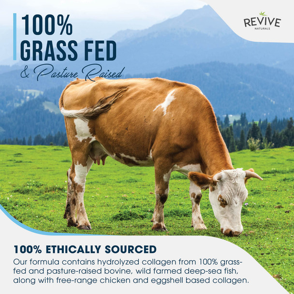 Revive Naturals Multi Collagen Protein Capsules - 120 Count - Types I II III V & X - Hydrolysed Grass Fed Bovine Wild Caught Marine & Free-Range Chicken Made with Hyaluronic Acid & Vitamin C by Revive Naturals