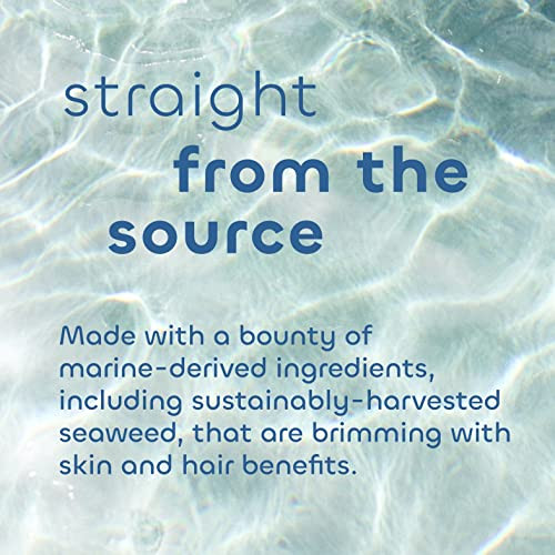 Seaweed Bath Co. Smooth Shampoo, Citrus Vanilla Scent, 12 Ounce, Sustainably Harvested Seaweed, Borage And Broccoli Seed Oils, For Curly And Frizzy Fine Hair