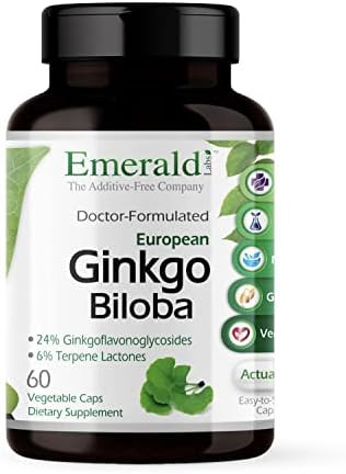 Emerald Labs Ginkgo Biloba Extract - Brain Health Supplement -  Antioxidant & Energy Support - 60 Vegetable Capsules (30-Day Supply)