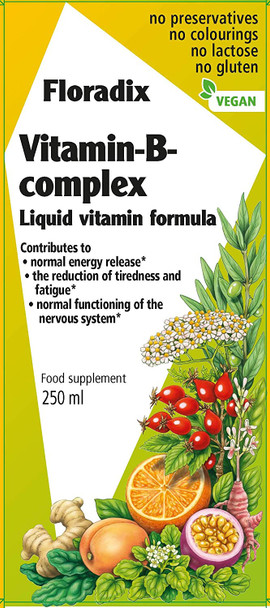 Floradix Vitamin B Complex Liquid Formula, 250 ml