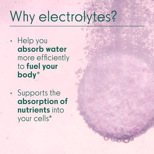 Love Wellness Daily Love Electrolytes  Hydration Tablets For Women  Supports Nutrient Absorption  Healthy Hormone Balance  Energy  Healthy Cortisol Level  Health Mood  12 Tablets, Berry Flavor