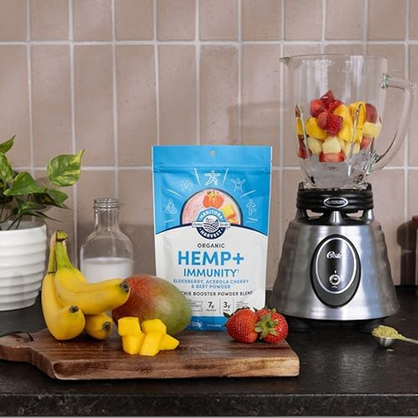 Manitoba Harvest Organic Hemp+ Immunity, Elderberry, Acerola Cherry & Beet Powder, Smoothie Booster Powder Blend, 7.5 Oz