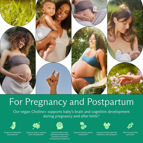 Needed. Prenatal Choline For Cognitive Development - Choline Supplement Aids Baby Brain Development - Supports Healthy Pregnancy & Metabolism - Third Party Tested - 60 Capsules