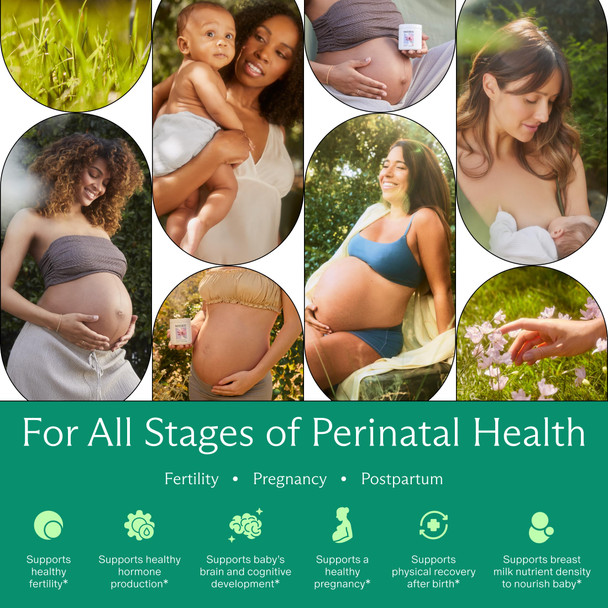 Needed Multivitamin For Prenatal  Prenatal Multi Essentials Capsule Pregnancy Breastfeeding Postpartum  Expertly-Formulated and Third Party Tested  30 Day Supply 90 Capsules
