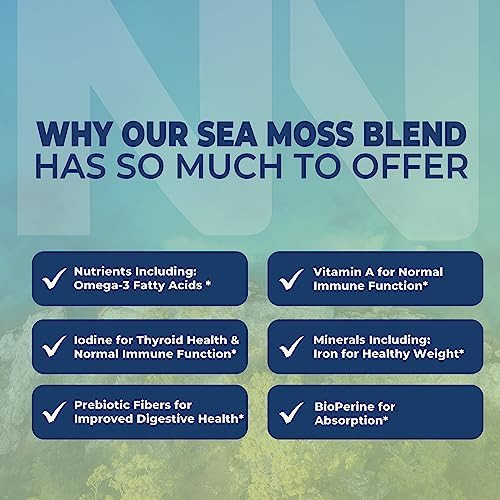 Nobi Nutrition Irish Sea Moss Capsules  With Organic Irish Moss, 300Mg Burdock Root & 500Mg Bladderwrack Powder  45-Day Supply  1300Mg Complex  Provides Iodine For Thyroid & Immune Support  90 Veggie Pills