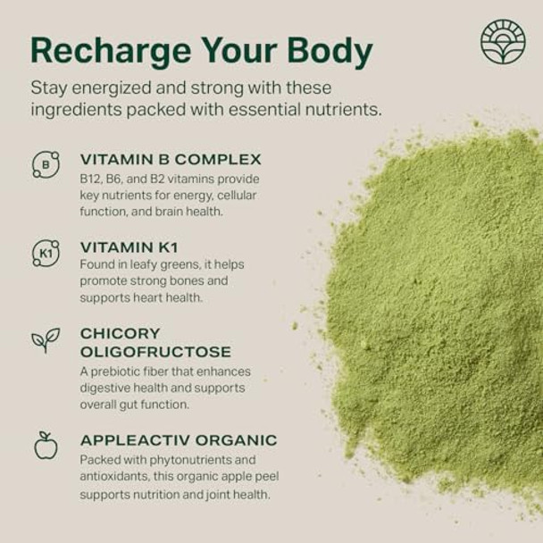 Proper Proper Digestive Wellness & Balance Bundle: Organic Greens & Bloat Relief Drink Mixes With Probiotics, Prebiotics, And Enzymes For Digestive Support And Gut Health