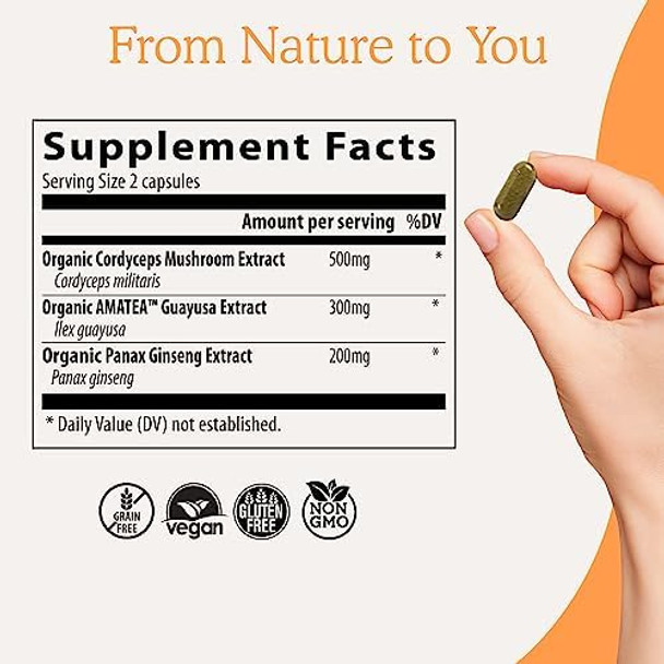 Real Mushrooms Realboost (60Ct) And Lions Mane (120Ct) Capsules Bundle - Mushroom Supplement For Energy, Vitality & Cognition - Energy & Brain Vitamins W/Cordyceps, Ginseng, Guayusa - Vegan, Non-Gmo