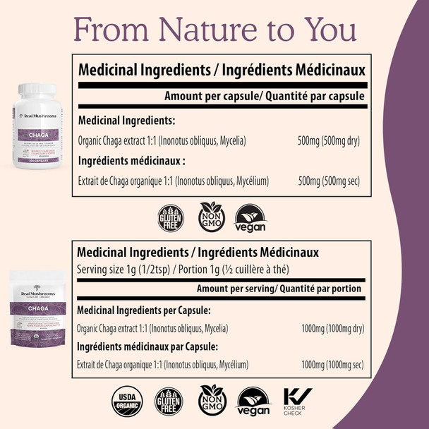 Real Mushrooms Chaga Mushroom Powder – Organic Chaga Extract From Fruiting Body – For Wellness & Energy Support – Vegan, Non-Gmo, 150 Servings – Mushroom Supplement For Daily Use