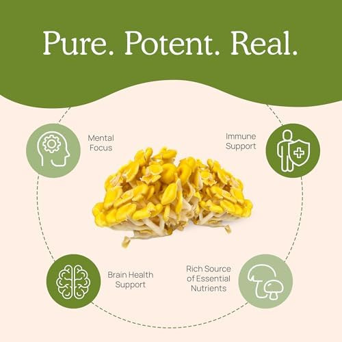 Real Mushrooms Ergothioneine Supplement – Golden Oyster Mushroom With Beta-Glucans – L-Ergothienine Extract Poweder – Organic, Vegan, Non-Gmo, No Fillers – 60 Capsules Mushroom Supplement For Humans