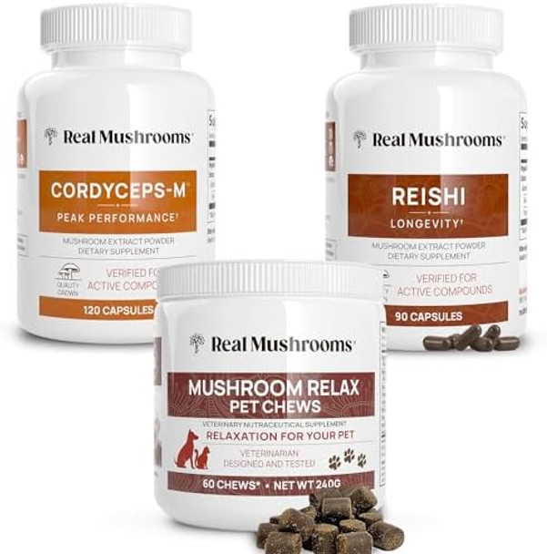 Real Mushrooms Reishi & Cordyceps For Humans & Mushroom Pet Relax Chews - Bundle For Relaxation, Energy & Immunity - Vegan, Non-Gmo, Gluten-, Grain- Mushroom Extract Supplements Real Mushrooms Reishi & Cordyceps For Humans & Mushroom Pet Relax Chews - Bundle For Relaxation, Energy & Immunity - Vegan, Non-Gmo, Gluten-, Grain- Mushroom Extract Supplements