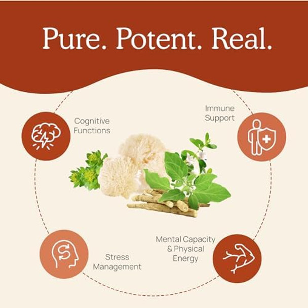Real Mushrooms Realclarity (60Ct) & Lions Mane (120Ct) Capsules W/Cordyceps Powder Bundle - Mushroom Supplement For Mental Clarity, Focus, Cognition, Energy & Vitality - Vegan, Non-Gmo Real Mushrooms Realclarity (60Ct) & Lions Mane (120Ct) Capsules W/Cordyceps Powder Bundle - Mushroom Supplement For Mental Clarity, Focus, Cognition, Energy & Vitality - Vegan, Non-Gmo