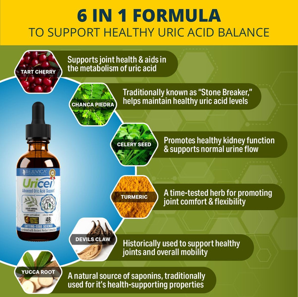 Uricel - Advanced Uric Acid Support & Cleanse Supplement - Joint & Kidney Support - Liquid Delivery For Better Absorption - Tart Cherry, Chanca Piedra, Celery Seed & Turmeric - 2 Fl Oz