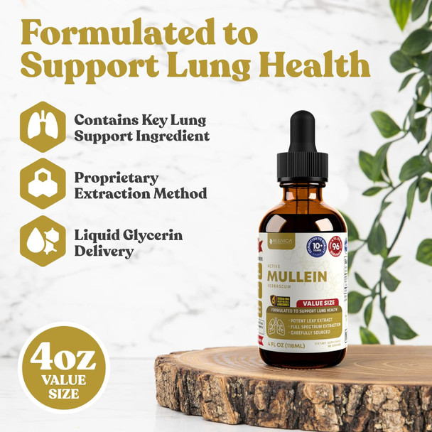 Rejuvica Health Active Mullein 4Oz Xl Super Size - Advanced Mullein Liquid Extract - Lung Support Drops - Vegan Sugar  Non Gmo Tincture