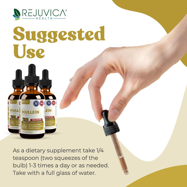Rejuvica Health Active Mullein 4Oz Xl Super Size - Advanced Mullein Liquid Extract - Lung Support Drops - Vegan Sugar  Non Gmo Tincture