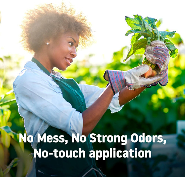 Theraworx Maximum Strength Pain Relief Roll-On With Lidocaine, Fast-Acting - 2.5 Oz - 2 Count