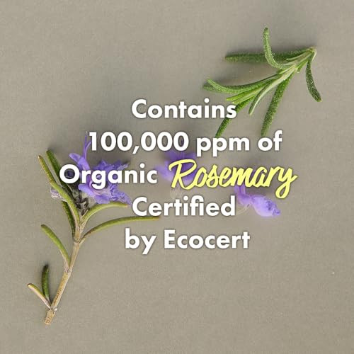 RATED GREEN Scalp Care Hair Mask Duo Rosemary Balancing & Tamanu Oil Soothing Clinically Proven Hydration, Elasticity & Soothing Relief Silicone- Korean Hair Care