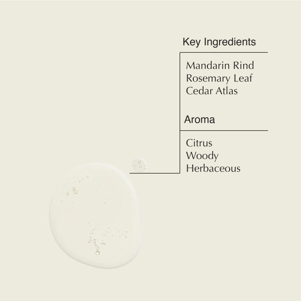 Aesop Resurrection Rinse- Hand Wash Aromatic, Alcohol-Based Gel with Purifying and Hydrating Properties Cleanses without Water 1.7 oz