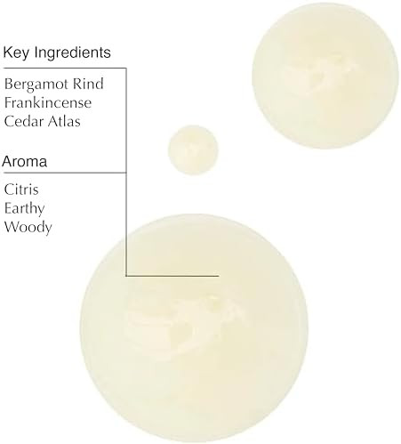 Aesop Geranium Leaf Body Cleanser and Shampoo Paraben, Cruelty- & Vegan 16.9 oz