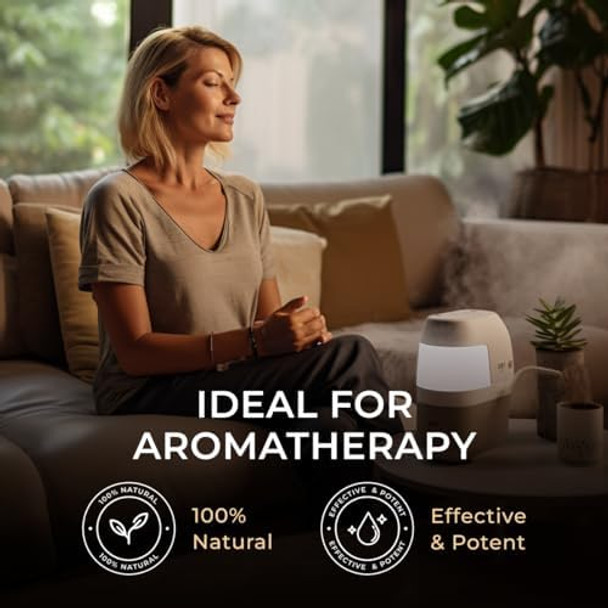 Gya Labs Spikenard Essential Oil For Diffuser & Cinnamon Cassia Essential Oil Set - 100% Natural Aromatherapy Grade Essential Oils Set - Gya Labs