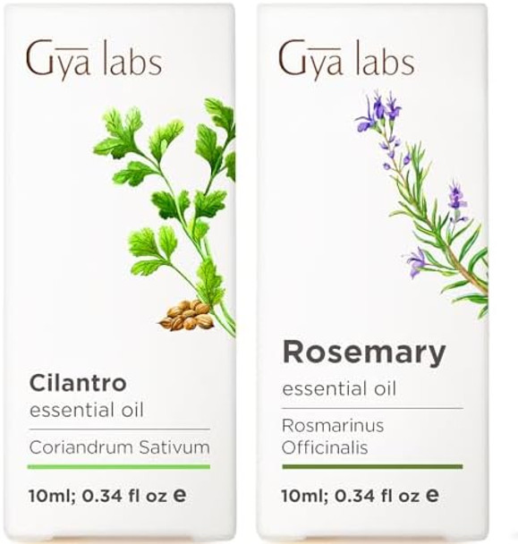 Gya Labs Cilantro Essential Oil Diffusers & Rosemary Oil For Hair Set - 100% Natural Aromatherapy Grade Essential Oils Set - 2X0.34 Fl Oz Gya Labs Cilantro Essential Oil Diffusers & Rosemary Oil For Hair Set - 100% Natural Aromatherapy Grade Essential Oils Set - 2X0.34 Fl Oz