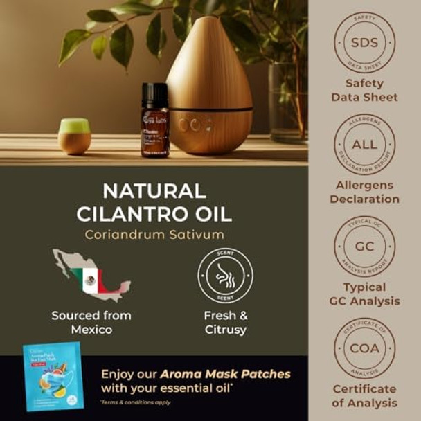 Gya Labs Cilantro Essential Oil Diffusers & Rosemary Oil For Hair Set - 100% Natural Aromatherapy Grade Essential Oils Set - 2X0.34 Fl Oz Gya Labs Cilantro Essential Oil Diffusers & Rosemary Oil For Hair Set - 100% Natural Aromatherapy Grade Essential Oils Set - 2X0.34 Fl Oz