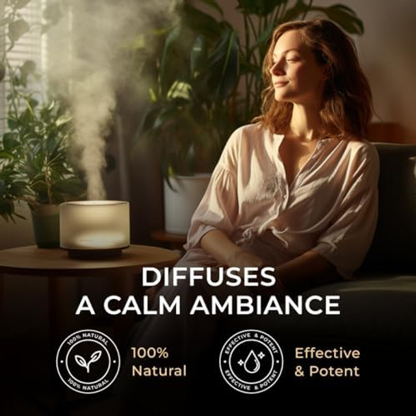 Gya Labs Niaouli Essential Oil Diffuser (0.34 Fl Oz) & Jojoba Oil For Hair (3.4 Fl Oz) Set - 100% Natural Aromatherapy Grade Essential Oils Set - Gya Labs Gya Labs Niaouli Essential Oil Diffuser (0.34 Fl Oz) & Jojoba Oil For Hair (3.4 Fl Oz) Set - 100% Natural Aromatherapy Grade Essential Oils Set - Gya Labs