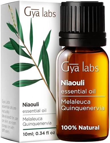 Gya Labs Niaouli Essential Oil Diffuser & Angelica Root Oil For Uplifts Mood Set - 100% Natural Aromatherapy Grade Essential Oils Set - 2X0.34 Fl Oz - Gya Labs