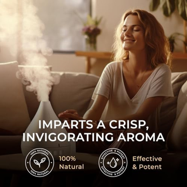 Gya Labs Peppermint Oil For Hair (1 Fl Oz) & Eucalyptus Essential Oil For Diffuser (0.34 Fl Oz) Set - 100% Natural Aromatherapy Grade Essential Oils Set - Gya Labs Gya Labs Peppermint Oil For Hair (1 Fl Oz) & Eucalyptus Essential Oil For Diffuser (0.34 Fl Oz) Set - 100% Natural Aromatherapy Grade Essential Oils Set - Gya Labs