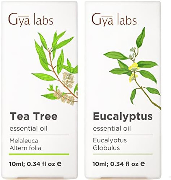 Gya Labs Tea Tree Oil For Skin & Eucalyptus Essential Oil For Diffuser Set - 100% Natural Aromatherapy Grade Essential Oils Set - 2X0.34 Fl Oz - Gya Labs Gya Labs Tea Tree Oil For Skin & Eucalyptus Essential Oil For Diffuser Set - 100% Natural Aromatherapy Grade Essential Oils Set - 2X0.34 Fl Oz - Gya Labs