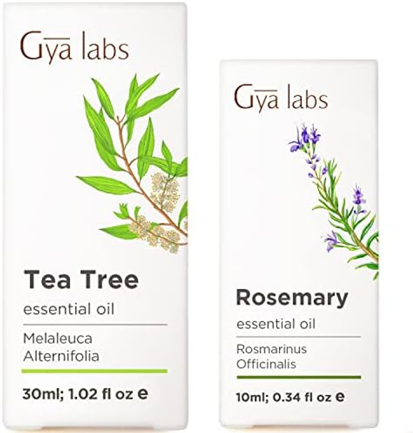 Gya Labs Tea Tree Oil For Skin (30Ml) & Rosemary Oil For Hair (10Ml) Set - 100% Natural Aromatherapy Grade Essential Oils Set - Gya Labs Gya Labs Tea Tree Oil For Skin (30Ml) & Rosemary Oil For Hair (10Ml) Set - 100% Natural Aromatherapy Grade Essential Oils Set - Gya Labs