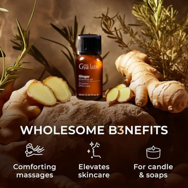 Gya Labs Ginger Oil For Belly Fat & Pain & Vanilla Essential Oil For Skin Set - 100% Natural Aromatherapy Grade Essential Oils Set - 2X10Ml - Gya Labs
