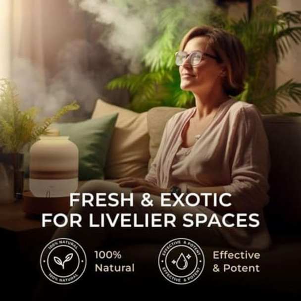 Gya Labs Lemongrass Essential Oil For Diffuser (10Ml) & Jojoba Oil For Hair (100Ml) Set - 100% Pure Aromatherapy Grade Essential Oils Set - Gya Labs