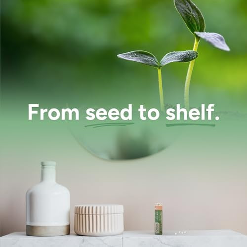 Ollois Chamomilla 30C Organic, Lactose-, Kosher Homeopathic Medicine, 80 Pellets (Pack Of 3)